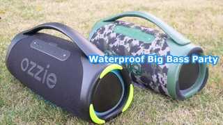 ES400L Outdoor Party Speaker Big Bass