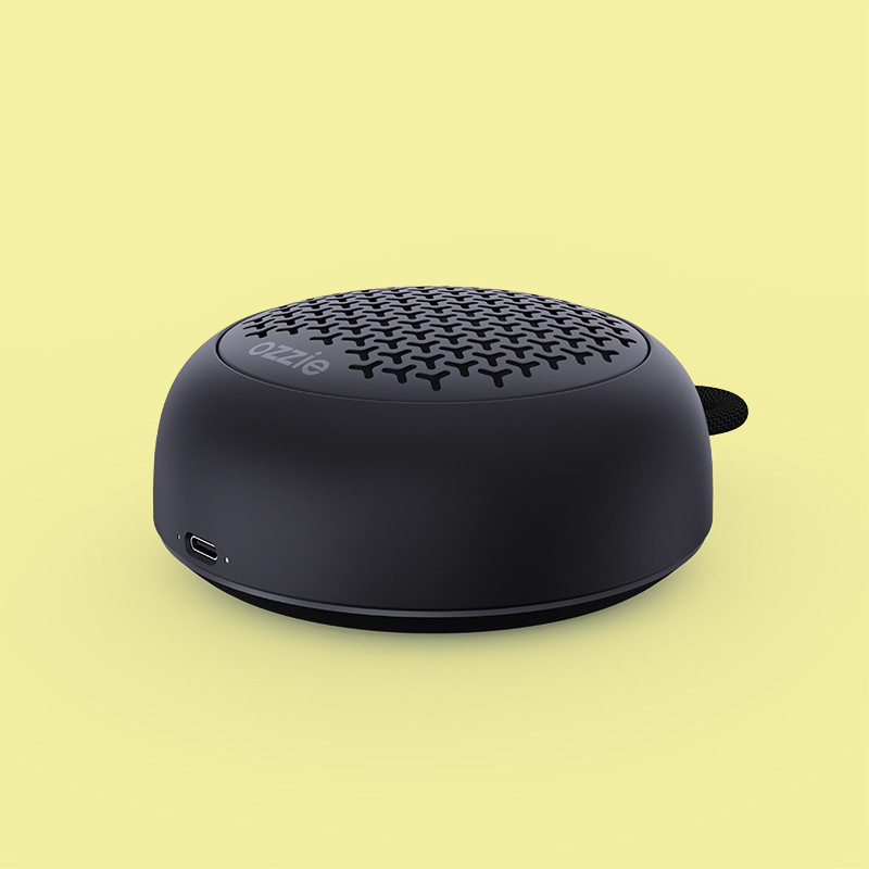 5W Portable Bluetooth Speaker with DC5V/1A Type C Charging 3.7V/800mAh Battery Capacity