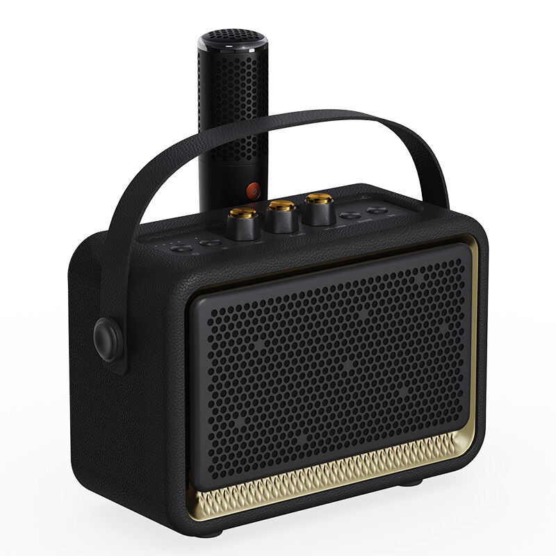 China Online Shopping Party bluetooth Speaker with Mic 30w Portable Home Bass bluetooth Wireless Speaker